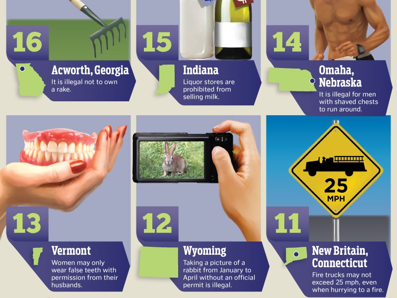 Weird Laws In The Us Infographic Best Infographics