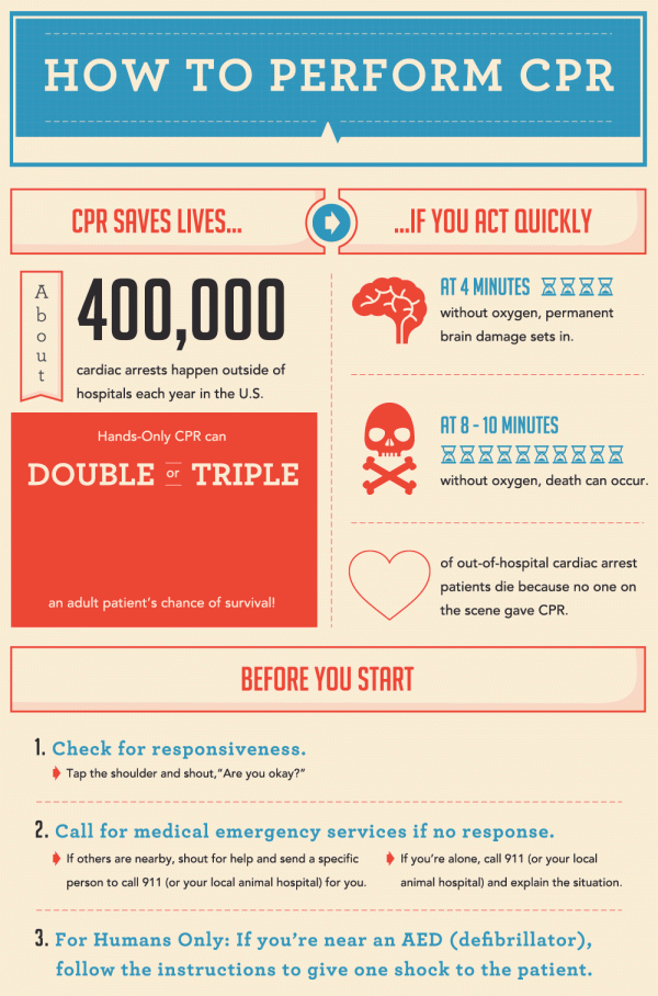 How To Perform Cpr {infographic} Best Infographics