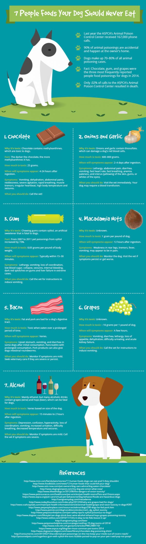 7 People Foods Dogs Should Not Eat - Best Infographics