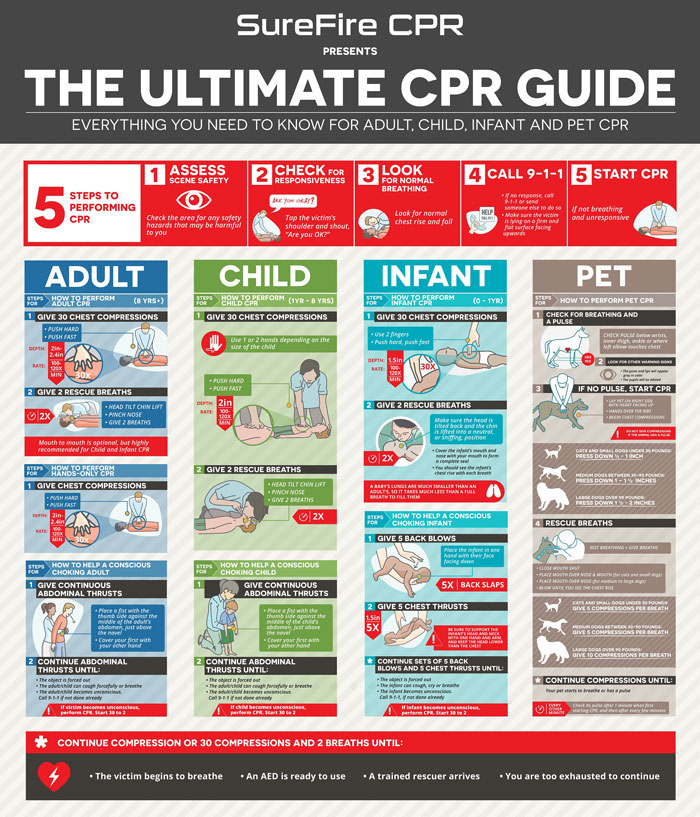 The Ultimate CPR Guide Infographic Best Infographics