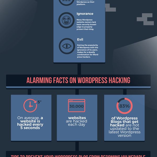 WordPress Security Guide Infographic - Best Infographics