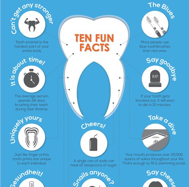 10 Facts About Your Teeth Infographic Best Infographics