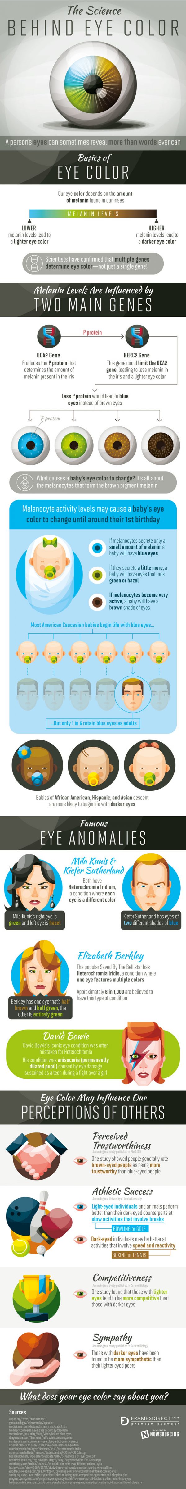 Science Behind Eye Color [Infographic] - Best Infographics