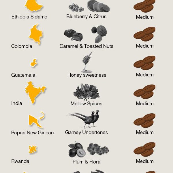 A Guide To Popular Types Of Coffee Plus An Infographic