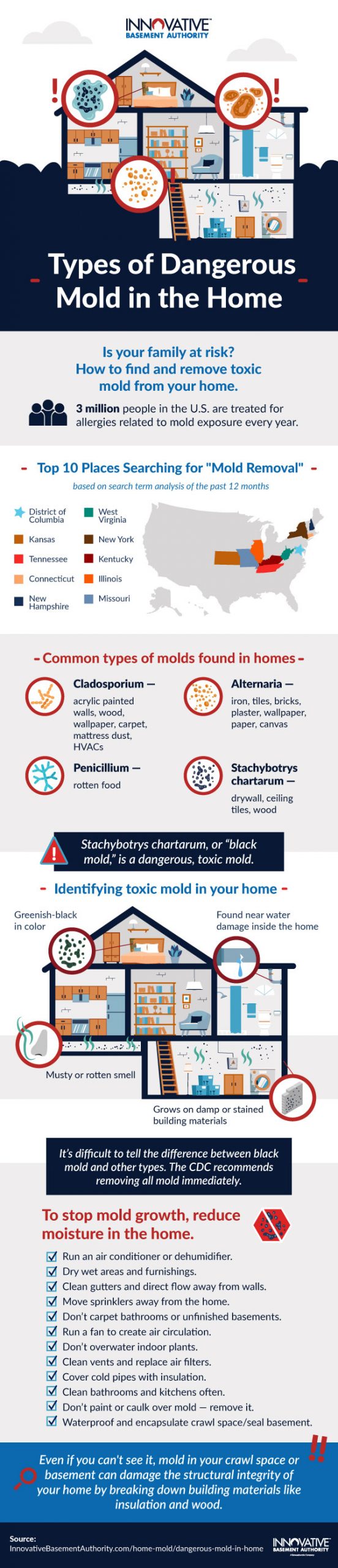 Types Of Dangerous Mold In Your Home Best Infographics