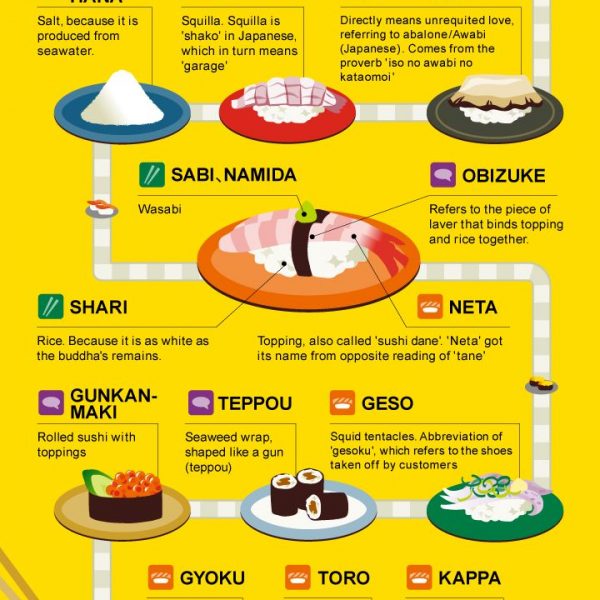 Sushi Terminology {Infographic} - Best Infographics