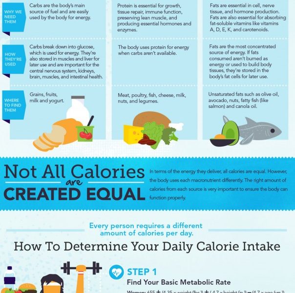 Guide to Calories Infographic - Best Infographics