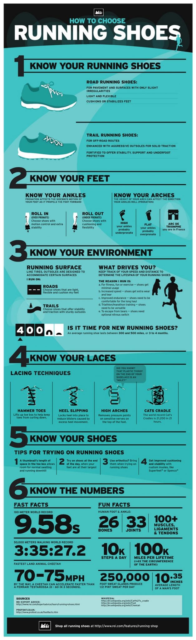 How to Choose Running Shoes {Infographic} - Best Infographics