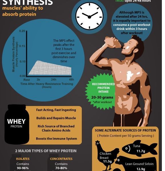 Post Workout: When & What To Drink {Infographic} - Best Infographics