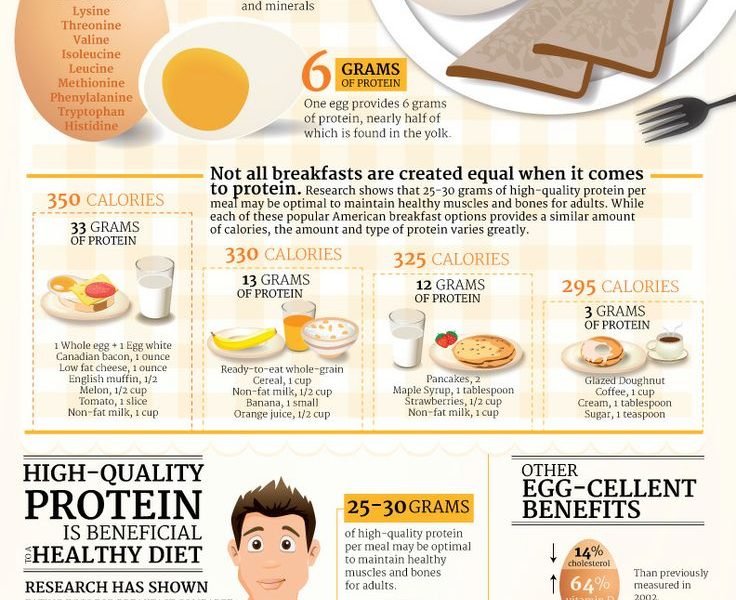 Have a Better Breakfast with Eggs {Infographic} - Best Infographics