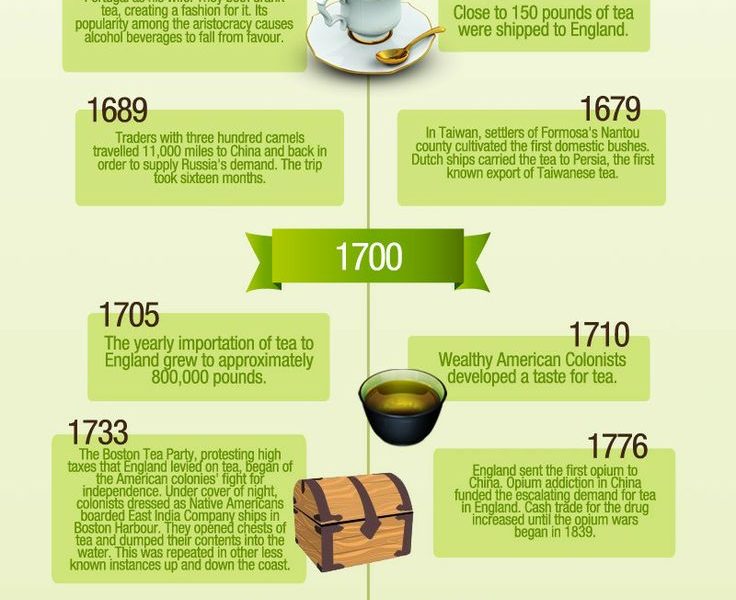 The History of Tea Infographic Best Infographics