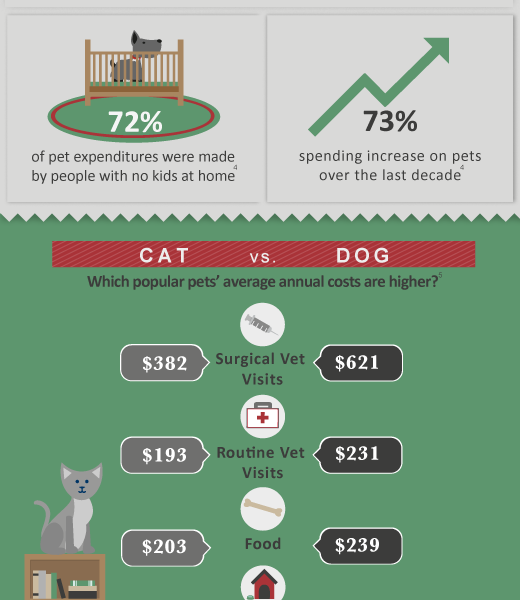 The Cost of Owning a Pet {Infographic} - Best Infographics