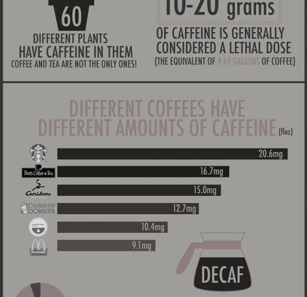 10 Things You Don't Know About Caffeine {Infographic} - Best Infographics