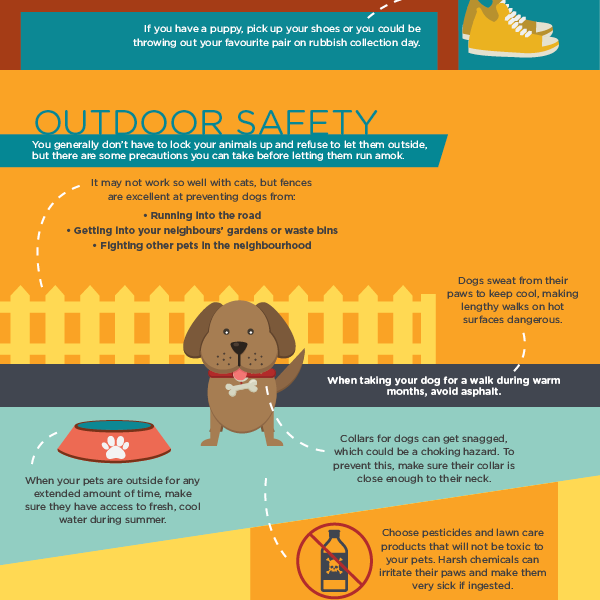 Pet Proofing Your Home {Infographic} - Best Infographics