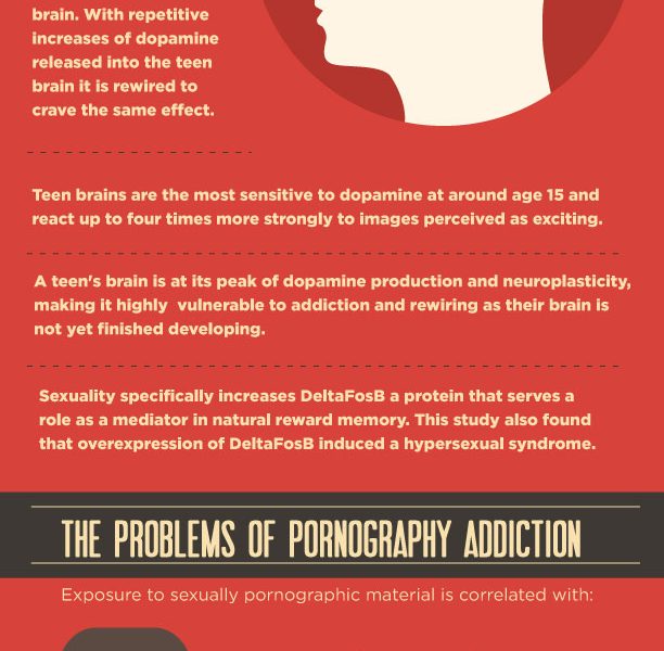 How Pornography Addiction Affects The Teenage Brain Infographic Best Infographics