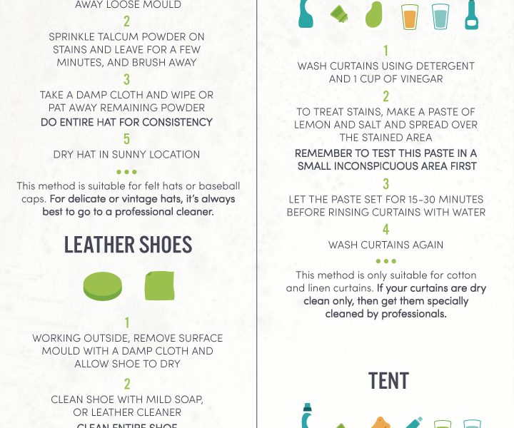 Guide to Mold Removal {Infographic} - Best Infographics