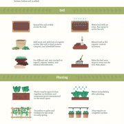 50 Facts About Gardening {Infographic} - Best Infographics