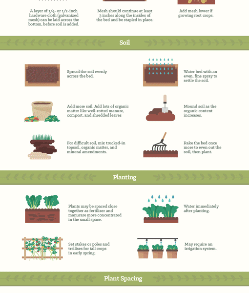 Vegetable Garden Tips {Infographic} - Best Infographics