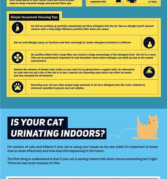 The Cat Owner's Cleaning Survival Guide {Infographic} - Best Infographics