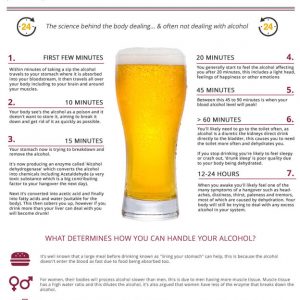 Beer Lover’s Guide to Ale & Lager [Infographic] - Best Infographics