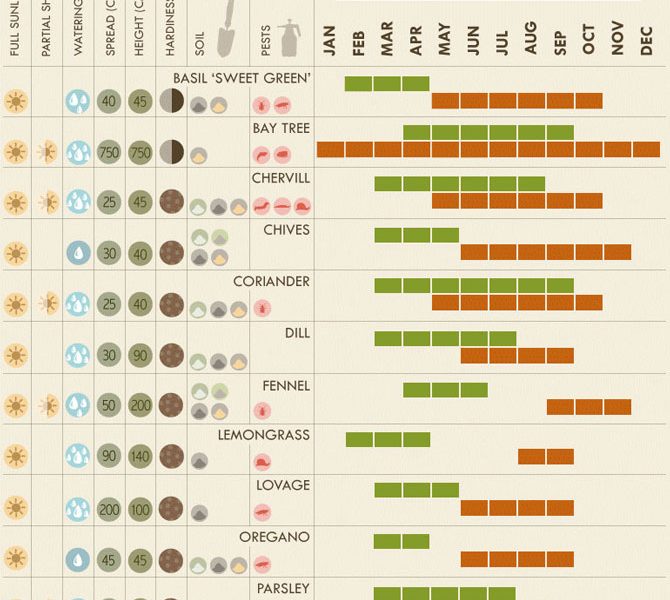 The Herb Grower's Cheat Sheet - Best Infographics