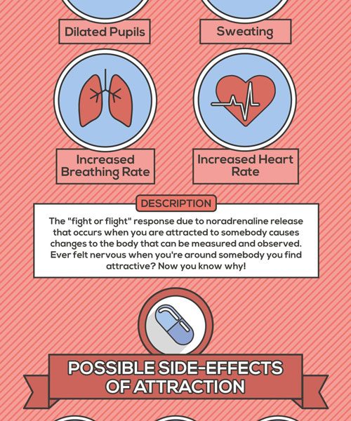The Science Of Love {infographic} Best Infographics