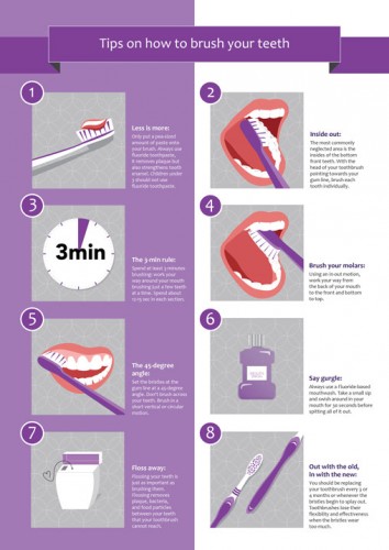 How To Brush Your Teeth {infographic} - Best Infographics