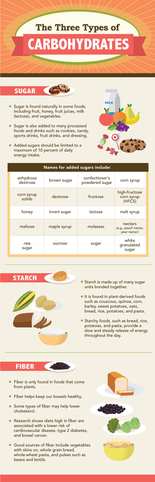 3 Types Of Carbohydrates {infographic} Best Infographics
