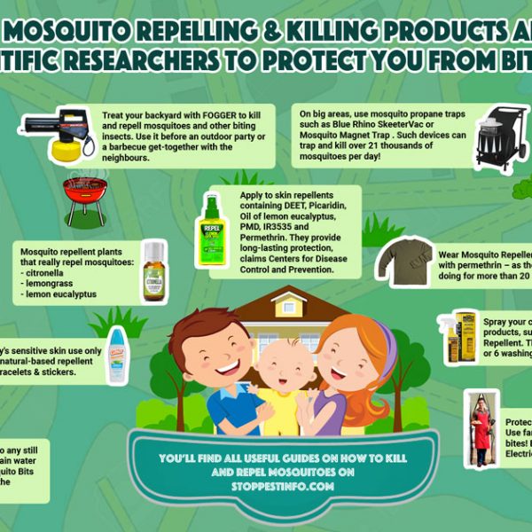 Vital Facts About Mosquitoes [Infographic] - Best Infographics