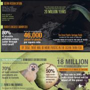 Facts About Earth Infographic - Best Infographics