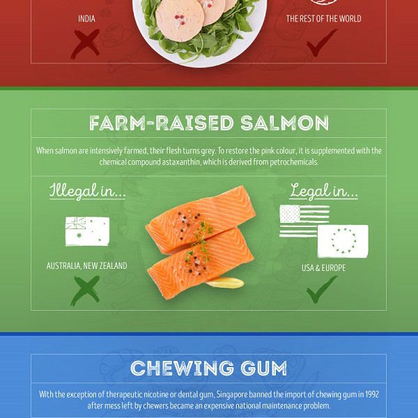 Banned Foods Around the World {Infographic} Best Infographics