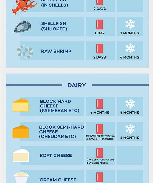 food storage Archives - Best Infographics
