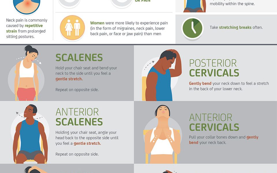 Stretches to Deal with Neck Pain {Infographic} - Best Infographics