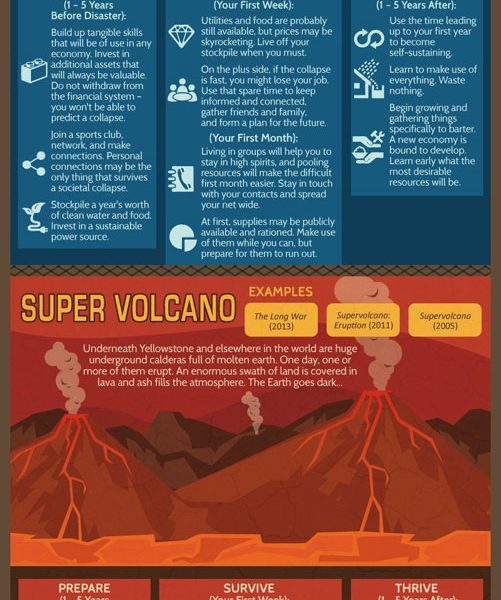 Surviving the Apocalypse [Infographic] - Best Infographics