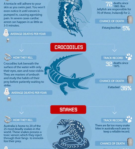 What Can Kill You In Australia [Infographic] - Best Infographics