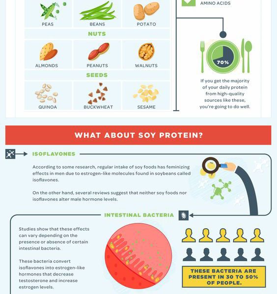 Vegan Bodybuilding Infographic - Best Infographics