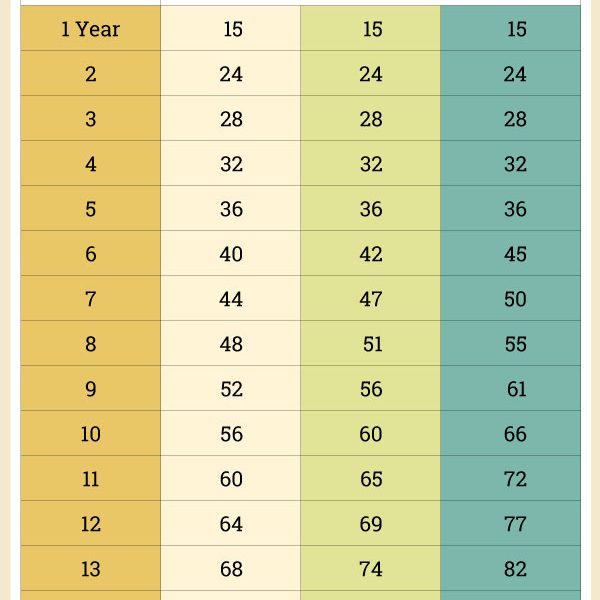 how to determine a dog's age in human years