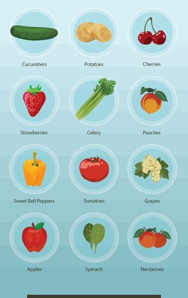 How to Become an Eco-Conscious Eater [Infographic] - Best Infographics