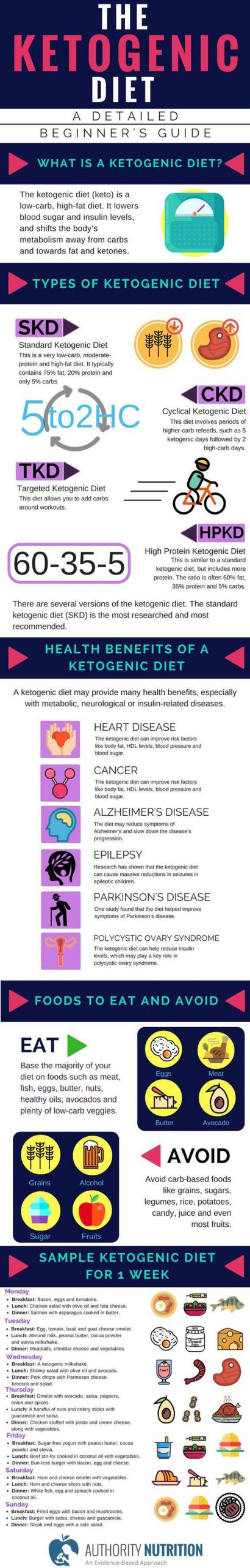 the keto diet guide infographic best infographics