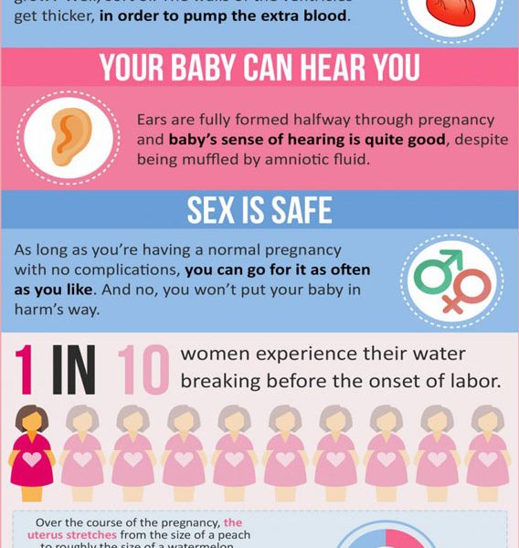 20 Amazing Facts About Pregnancy [Infographic] - Best Infographics