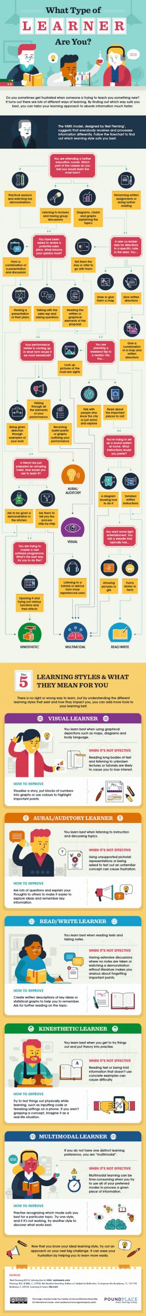 What Type Of Learner Are You {infographic] Best Infographics