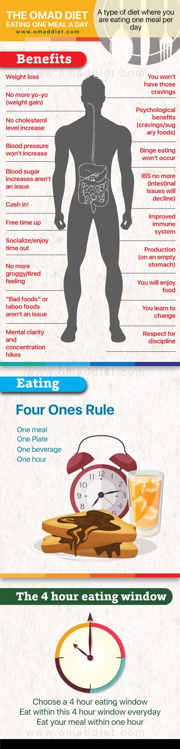 The OMAD (Eating One Meal A Day) Diet Infographic - Best Infographics