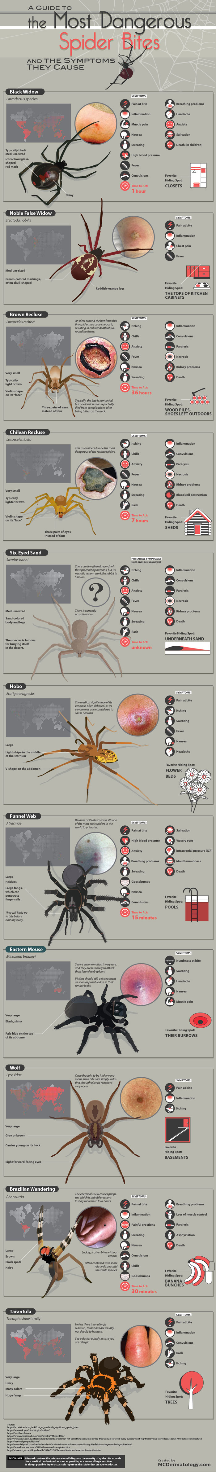 The Most Dangerous Spider Bites [Infographic] - Best Infographics