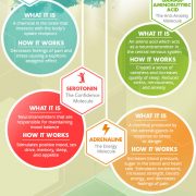 The Science Of Happiness {Infographic} - Best Infographics