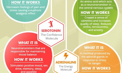 The Science Of Happiness {Infographic} - Best Infographics