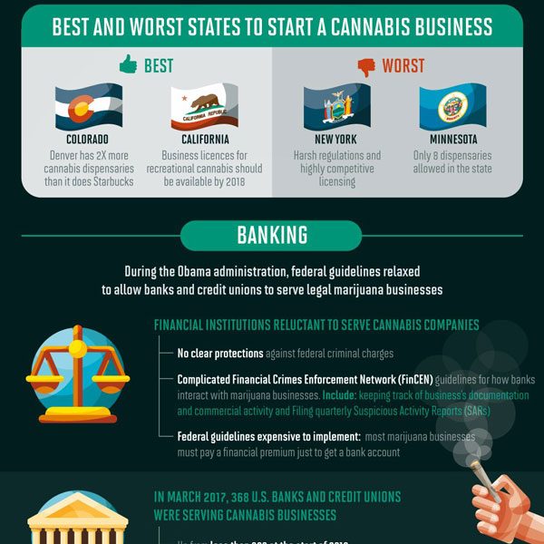 The Business of Cannabis [Infographic] - Best Infographics