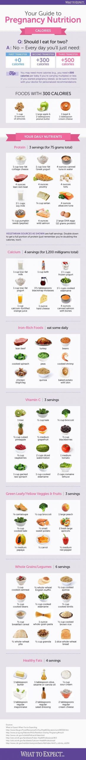 Guide to Pregnancy Nutrition [Infographic] - Best Infographics