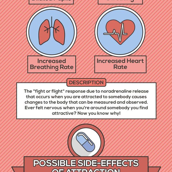 The Science of Love Explained - Best Infographics