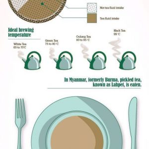 The History of Tea Infographic - Best Infographics