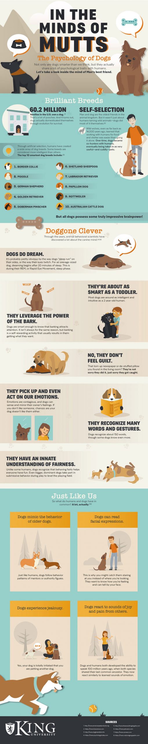 The Psychology of Dogs [Infographic] - Best Infographics